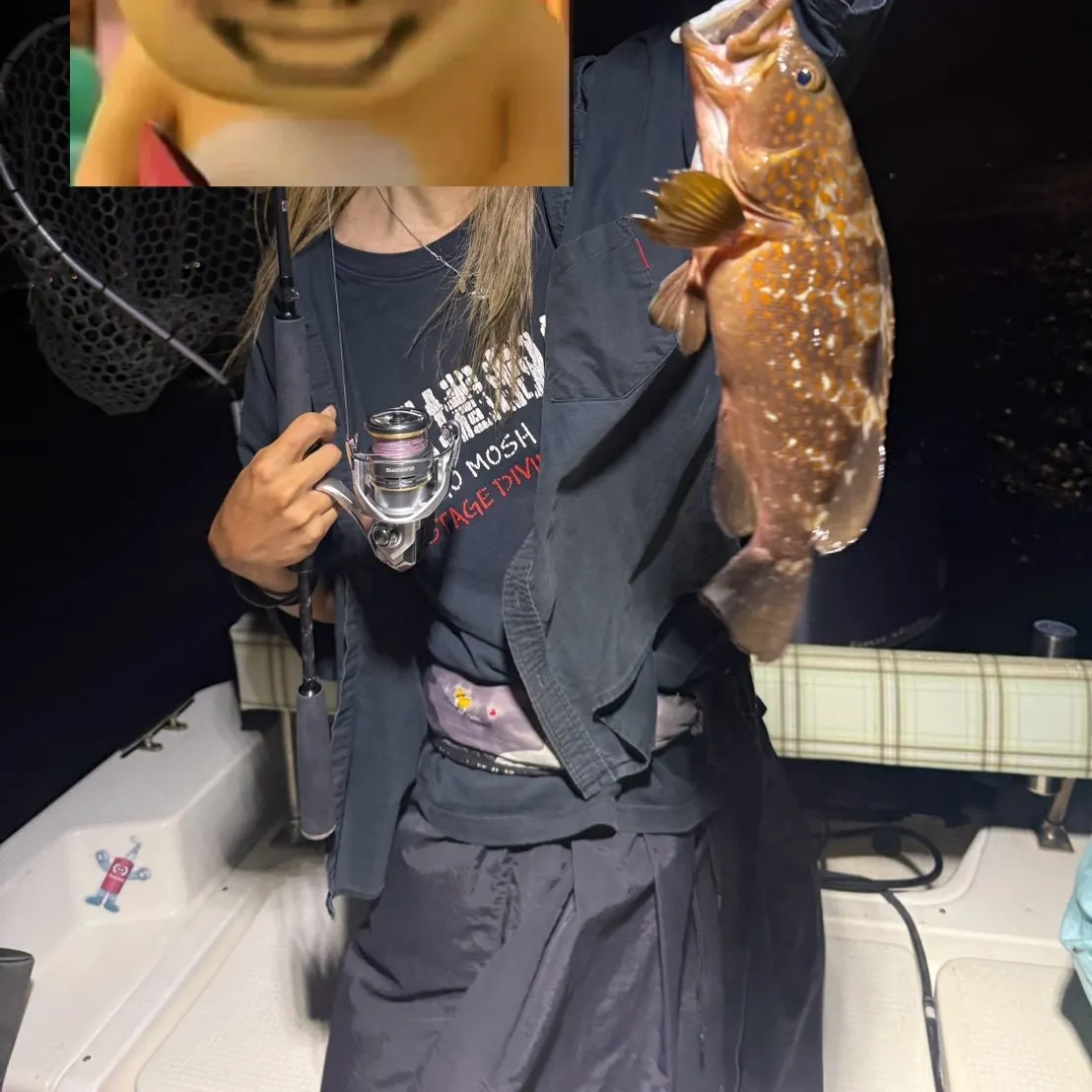 The most recent Orange-spotted grouper catches on Fishbrain