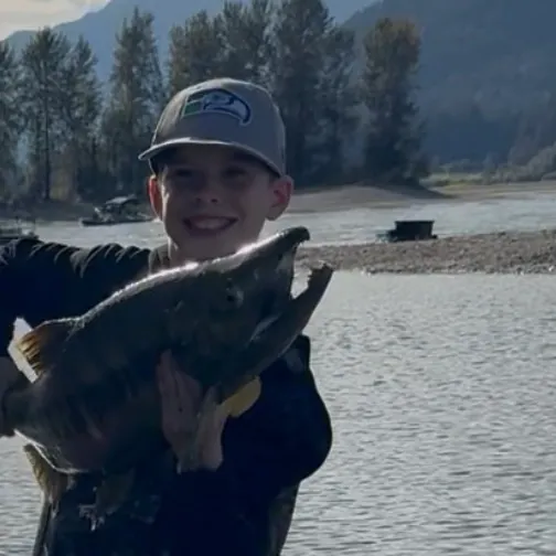 Chum salmon caught on Fishbrain