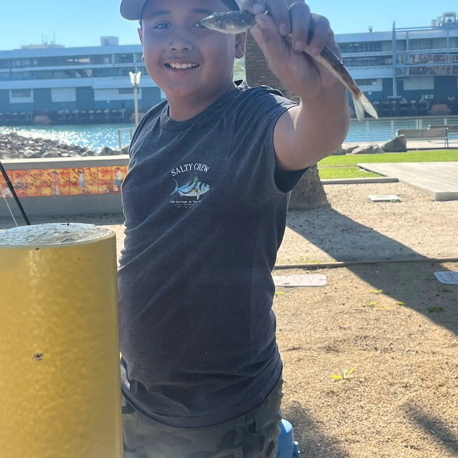 The most recent California lizardfish catches on Fishbrain
