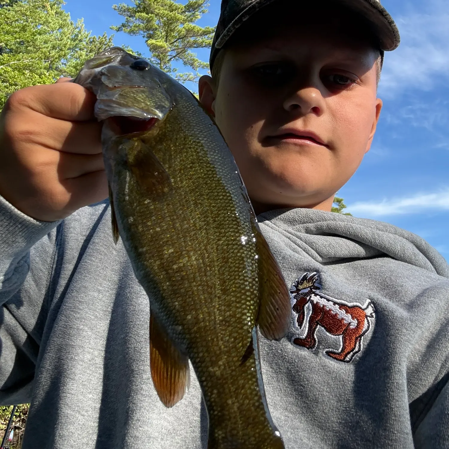 Smallmouth bass caught on Fishbrain