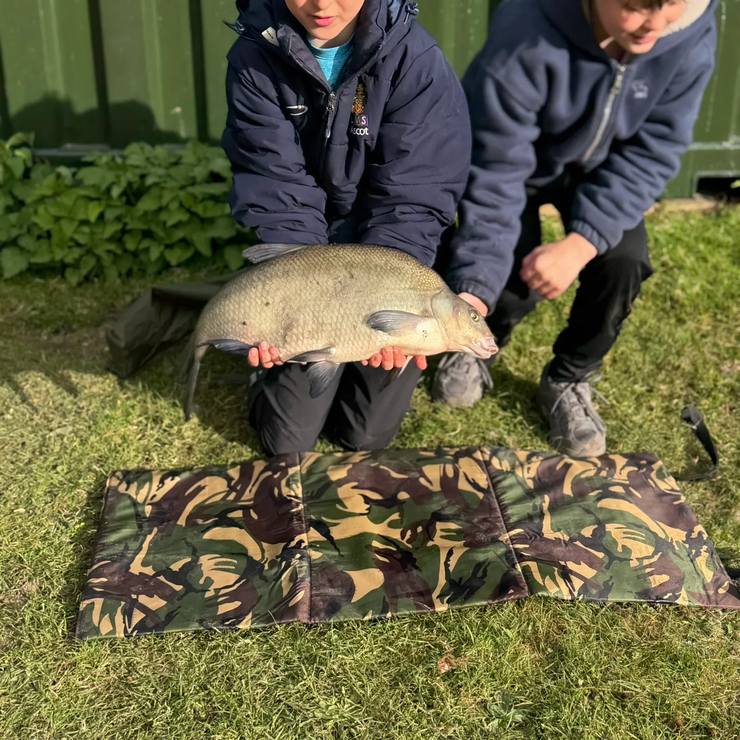 The most recent Common bream catches on Fishbrain