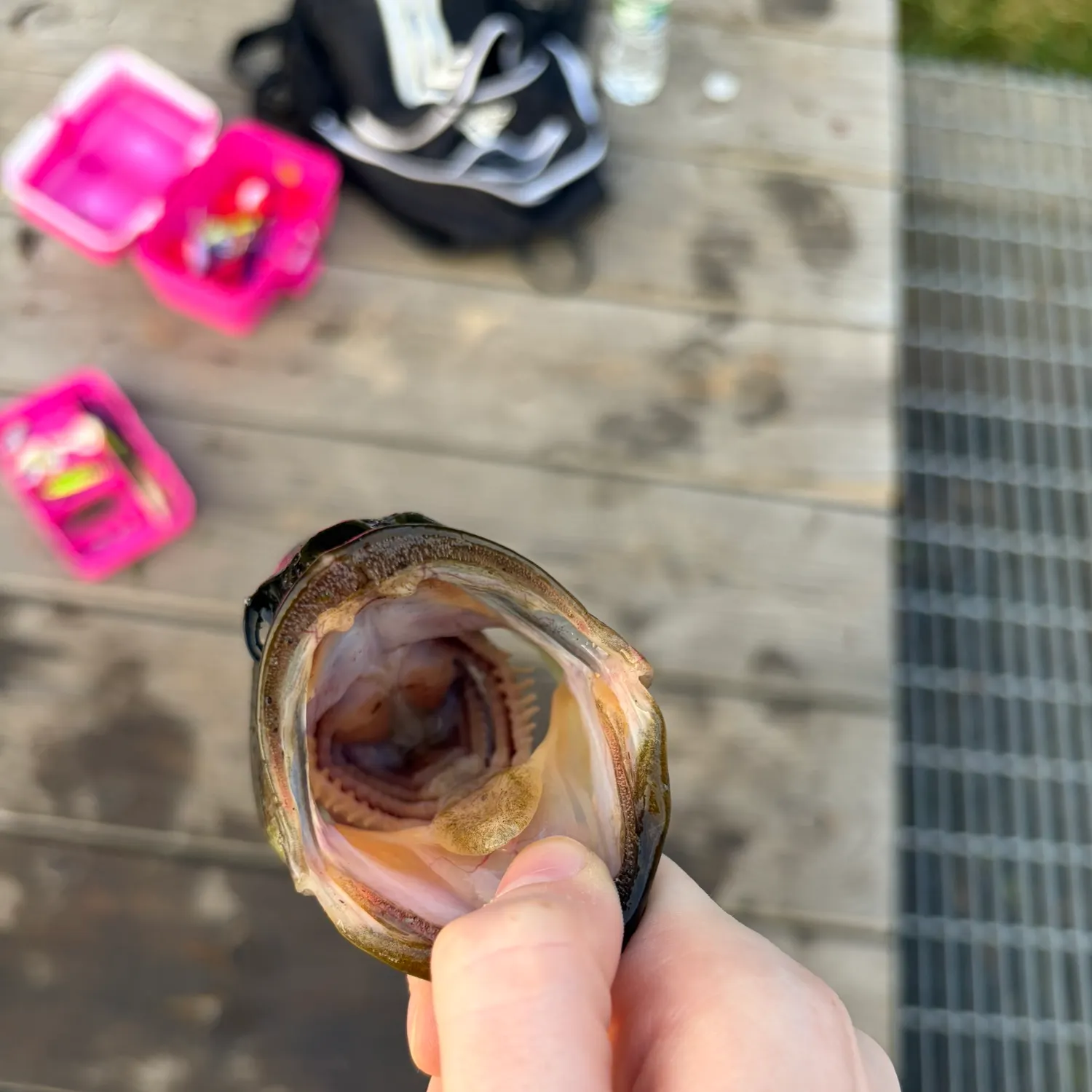 catch