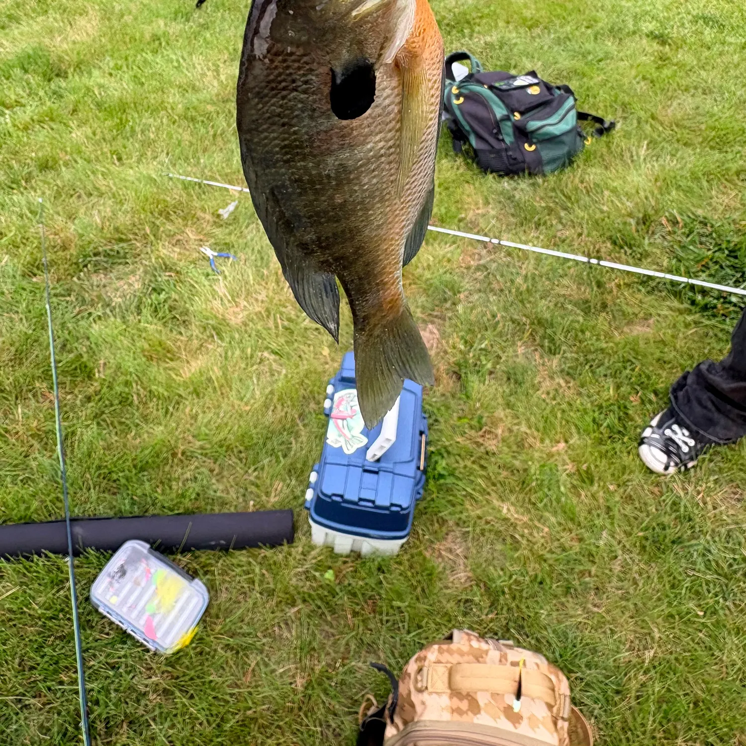 catch