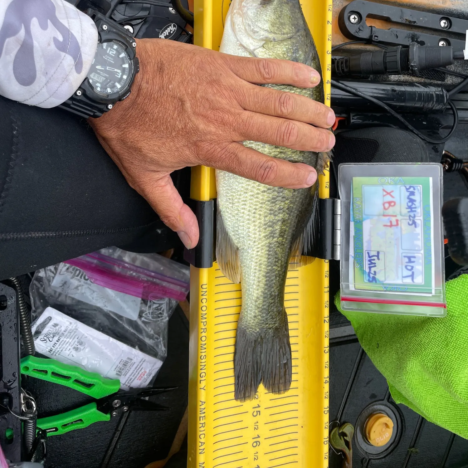 recently logged catches