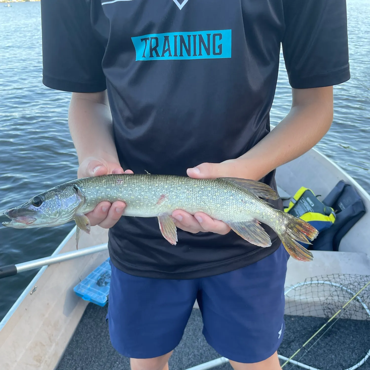 Northern pike caught on Fishbrain