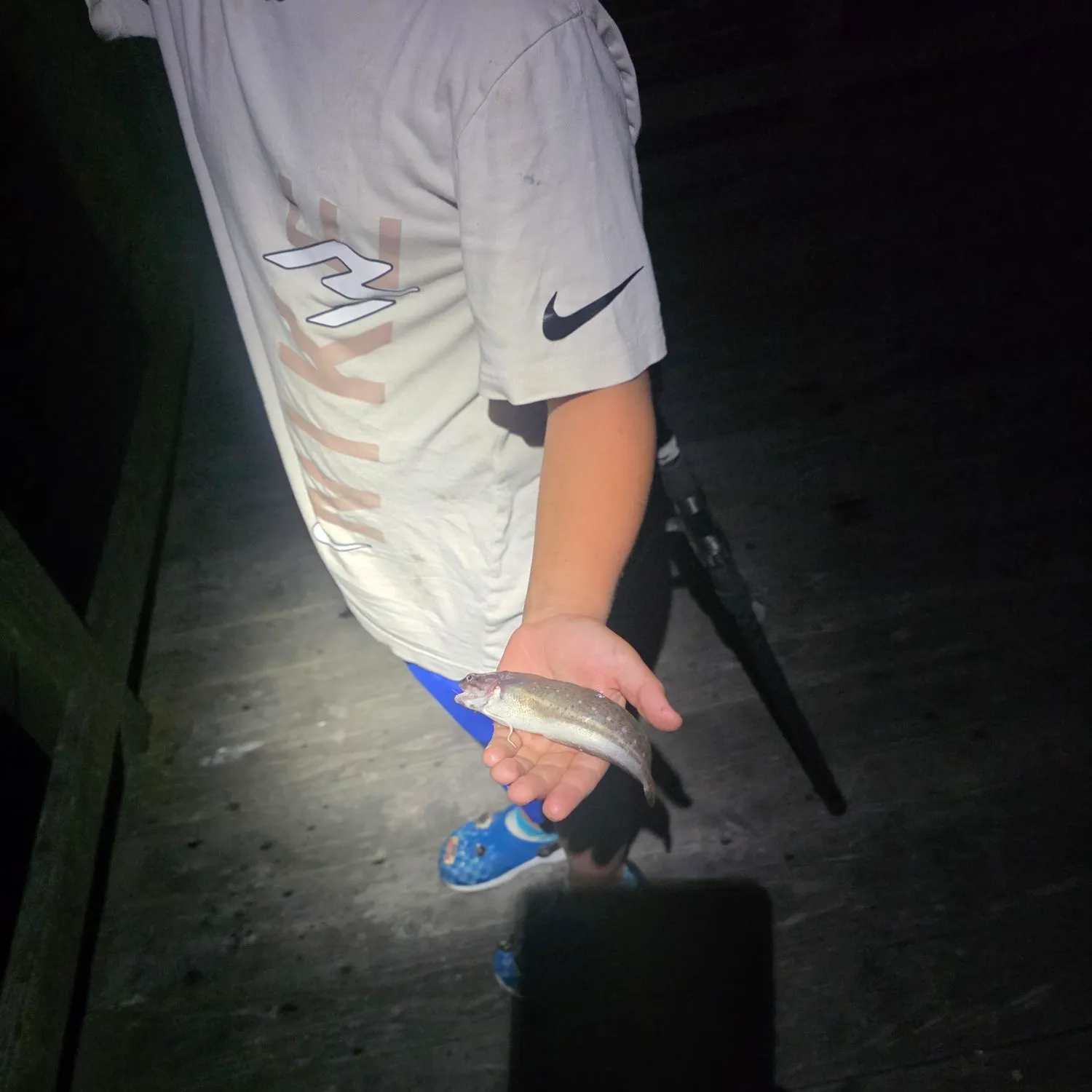 The most recent Spotted hake catches on Fishbrain