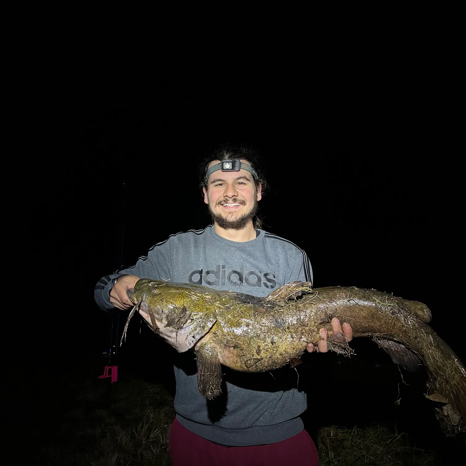 Flathead catfish caught on Fishbrain
