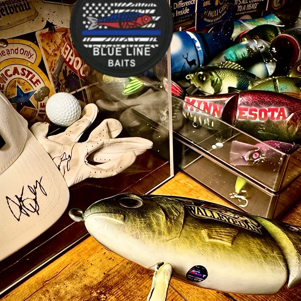 The most recent American shad catches on Fishbrain