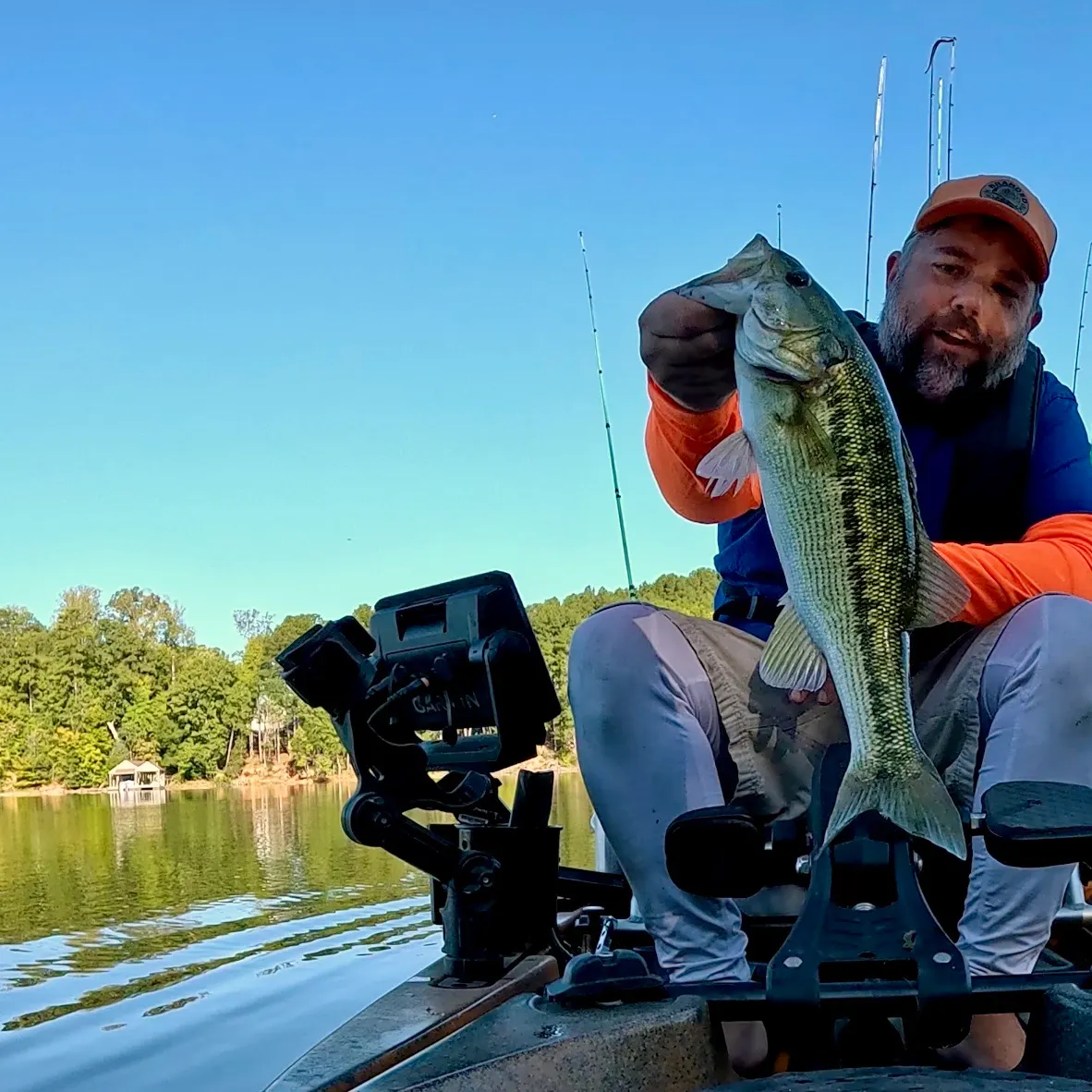 Spotted bass caught on Fishbrain