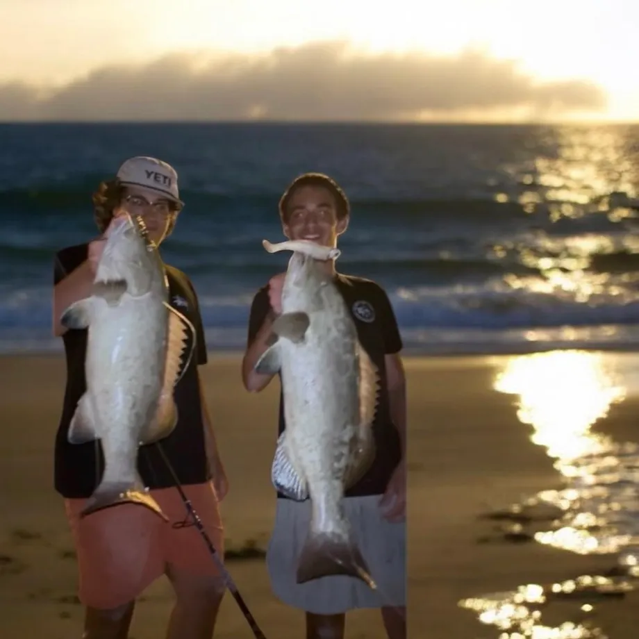 The most recent Gag grouper catches on Fishbrain