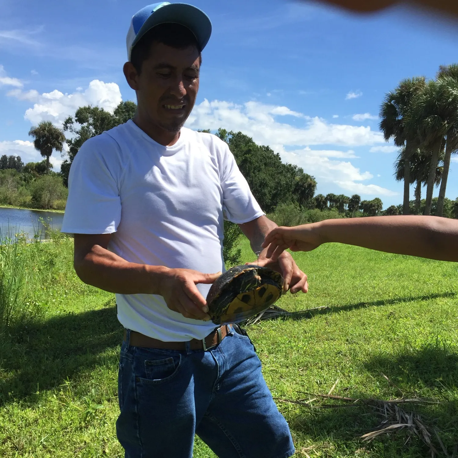 Pond slider turtle caught on Fishbrain