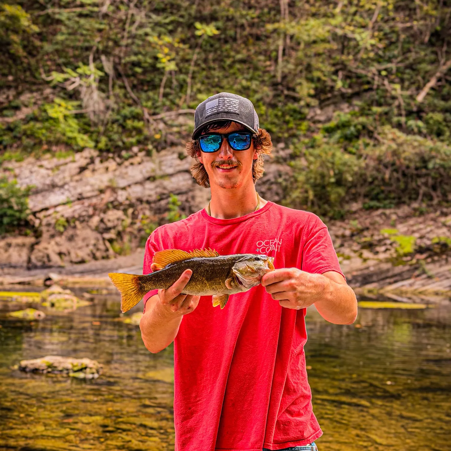 Smallmouth bass caught on Fishbrain