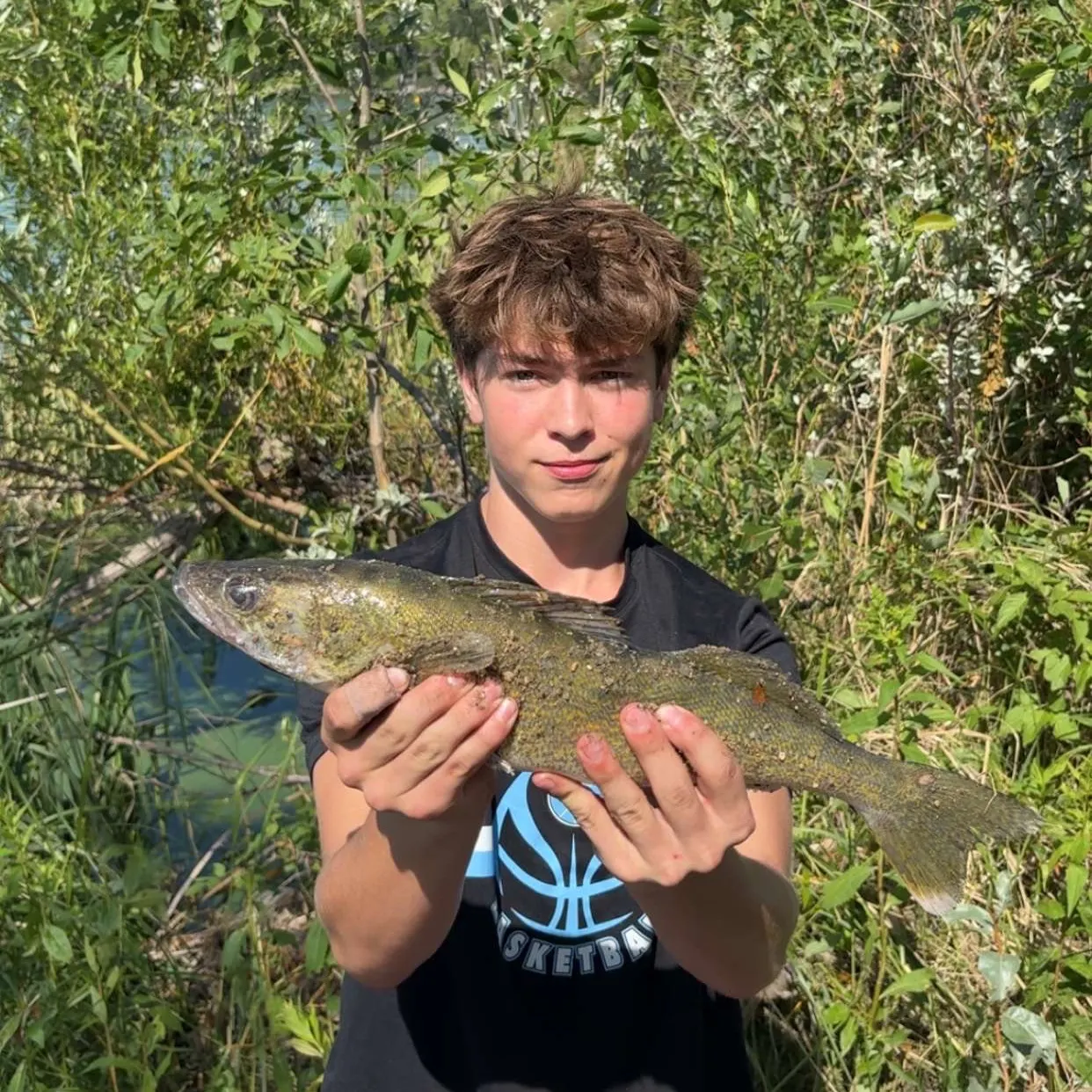 Walleye caught on Fishbrain
