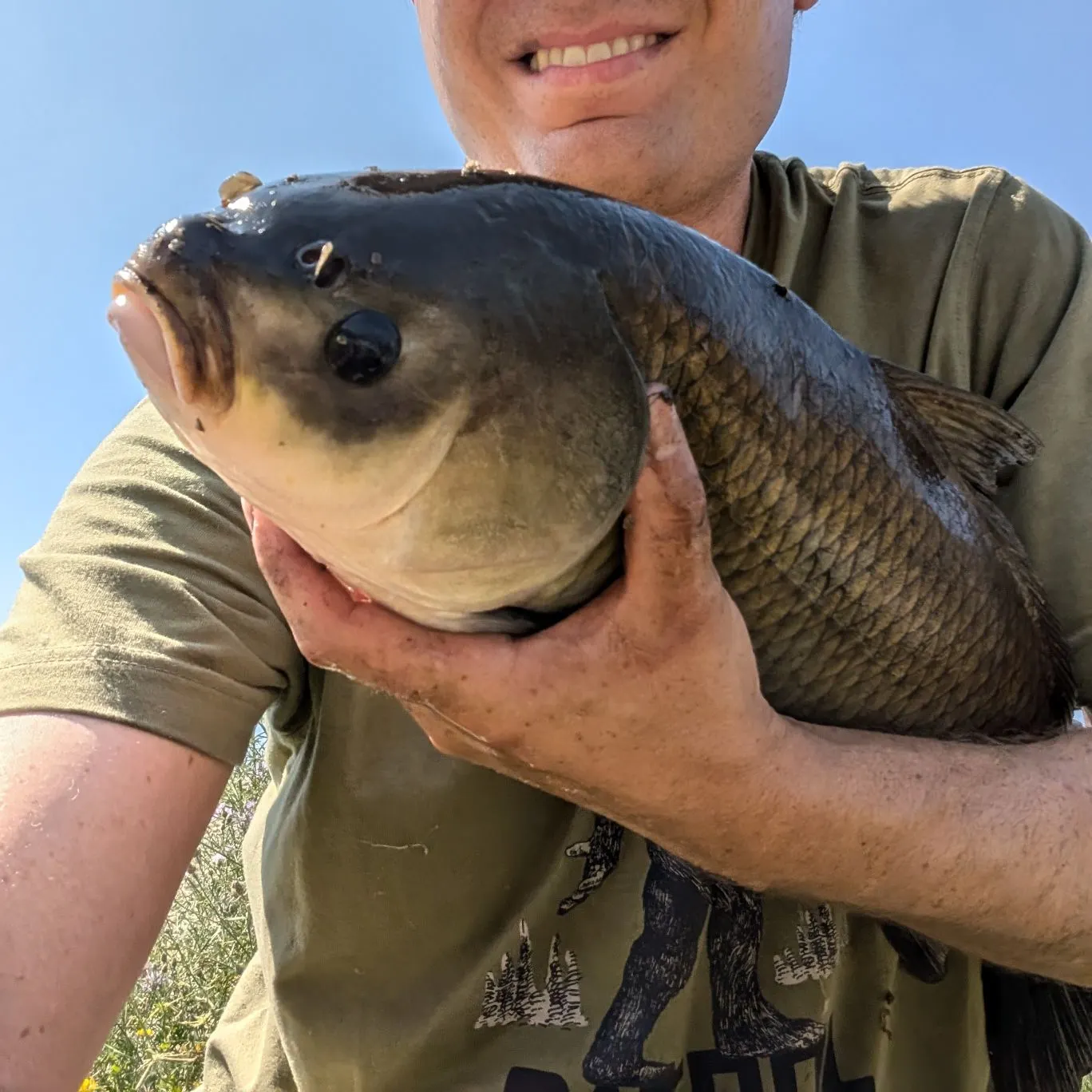 The most recent Bigmouth buffalo catches on Fishbrain
