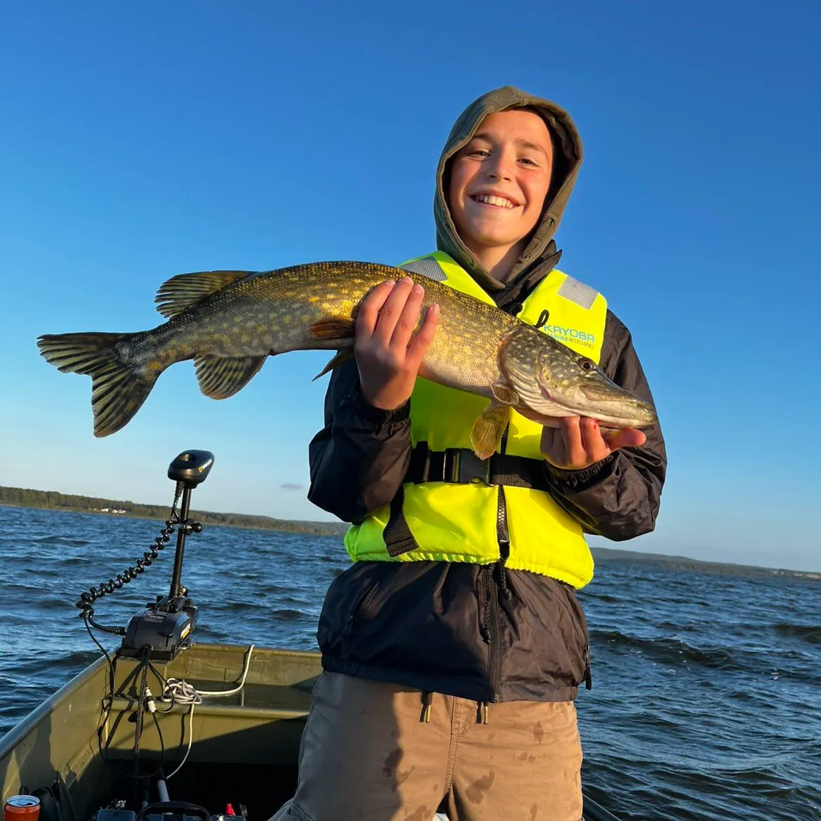Northern pike caught on Fishbrain