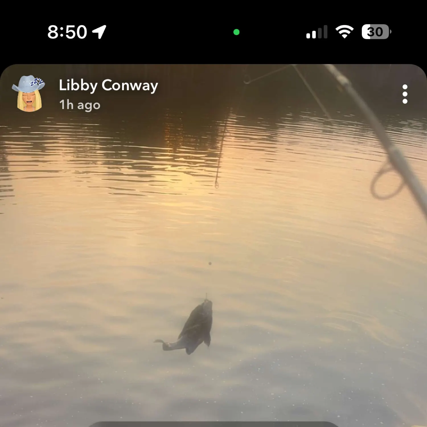 recently logged catches