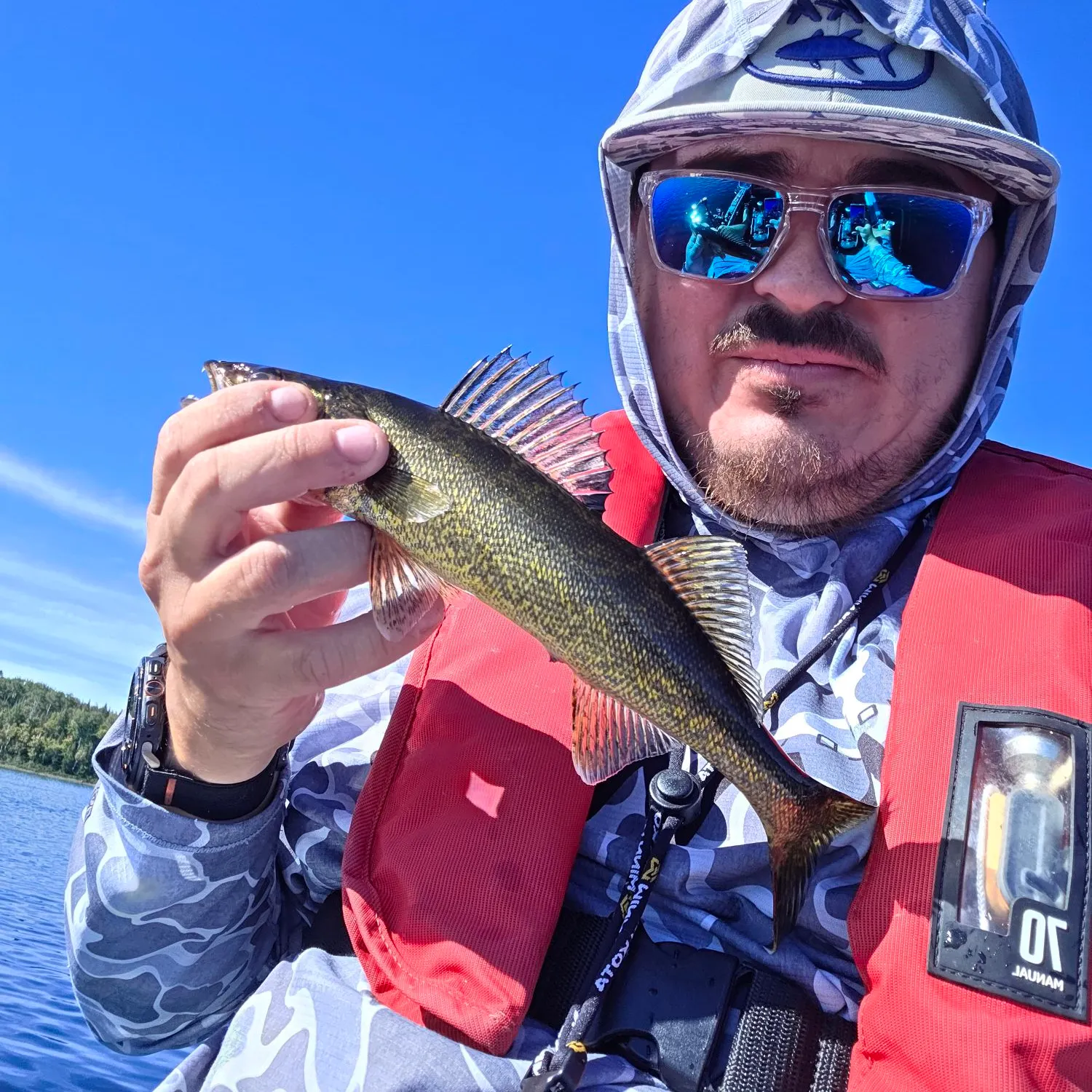 Walleye caught on Fishbrain