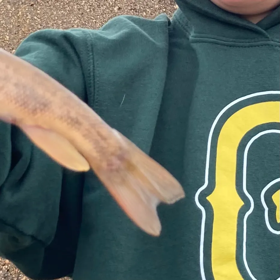 The most recent Colorado pikeminnow catches on Fishbrain