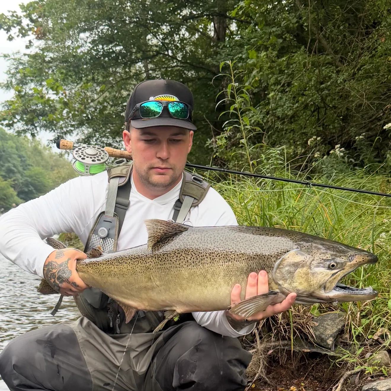 Chinook salmon caught on Fishbrain