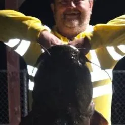 The most recent Flathead catfish catches on Fishbrain