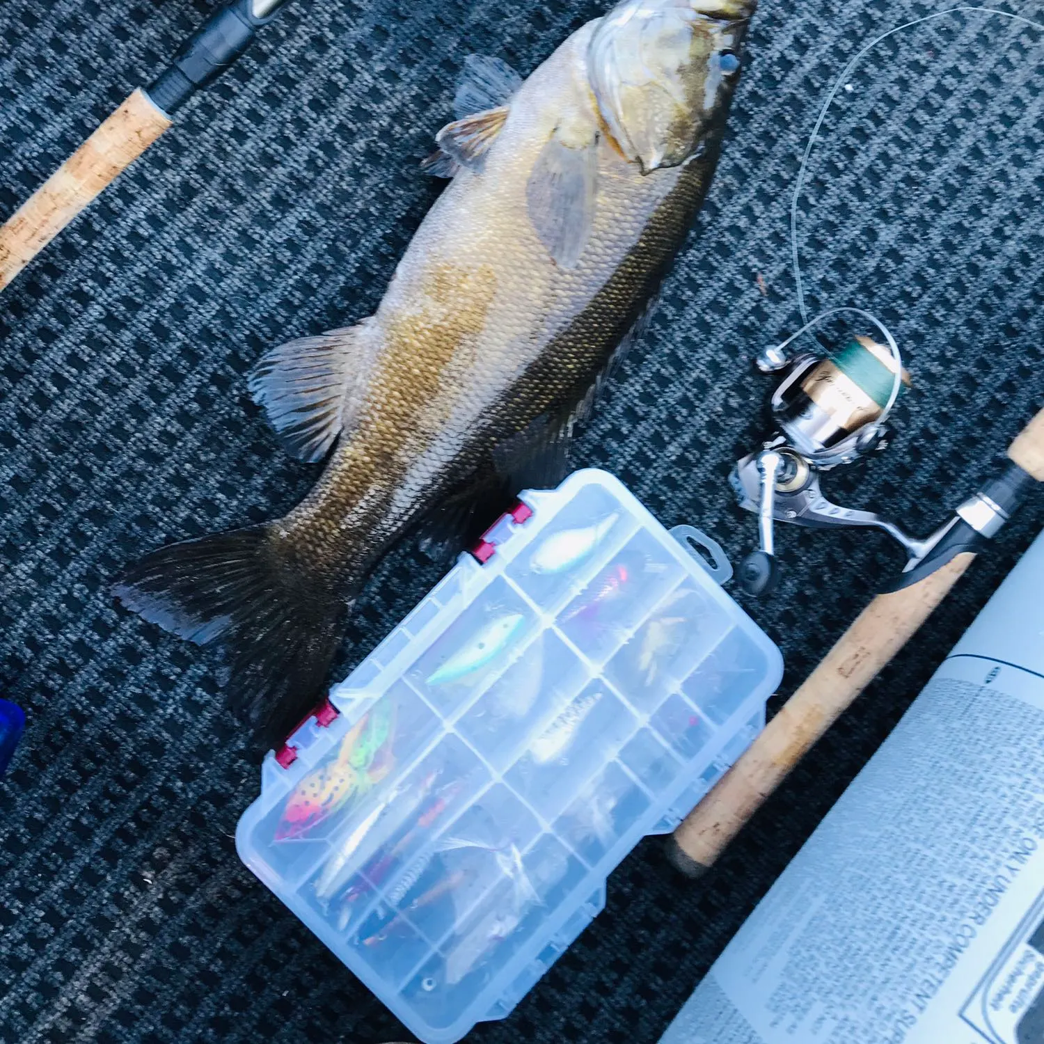 angler catch