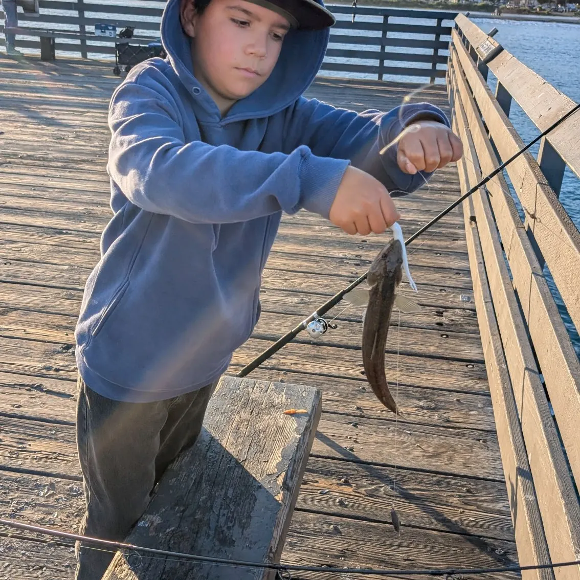 The most recent Lighthouse lizardfish catches on Fishbrain