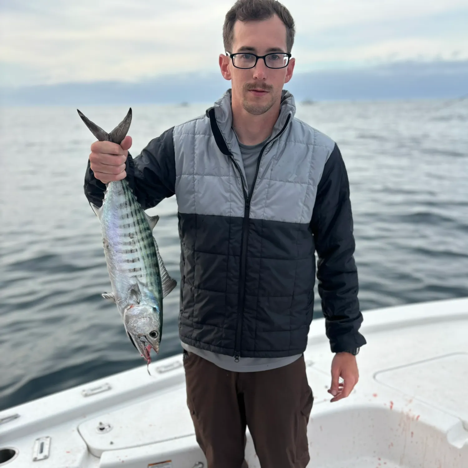 The most recent Atlantic bonito catches on Fishbrain