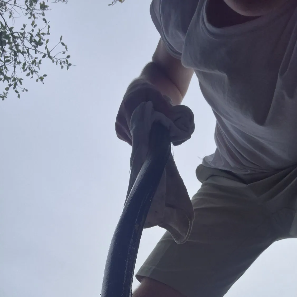American eel caught on Fishbrain