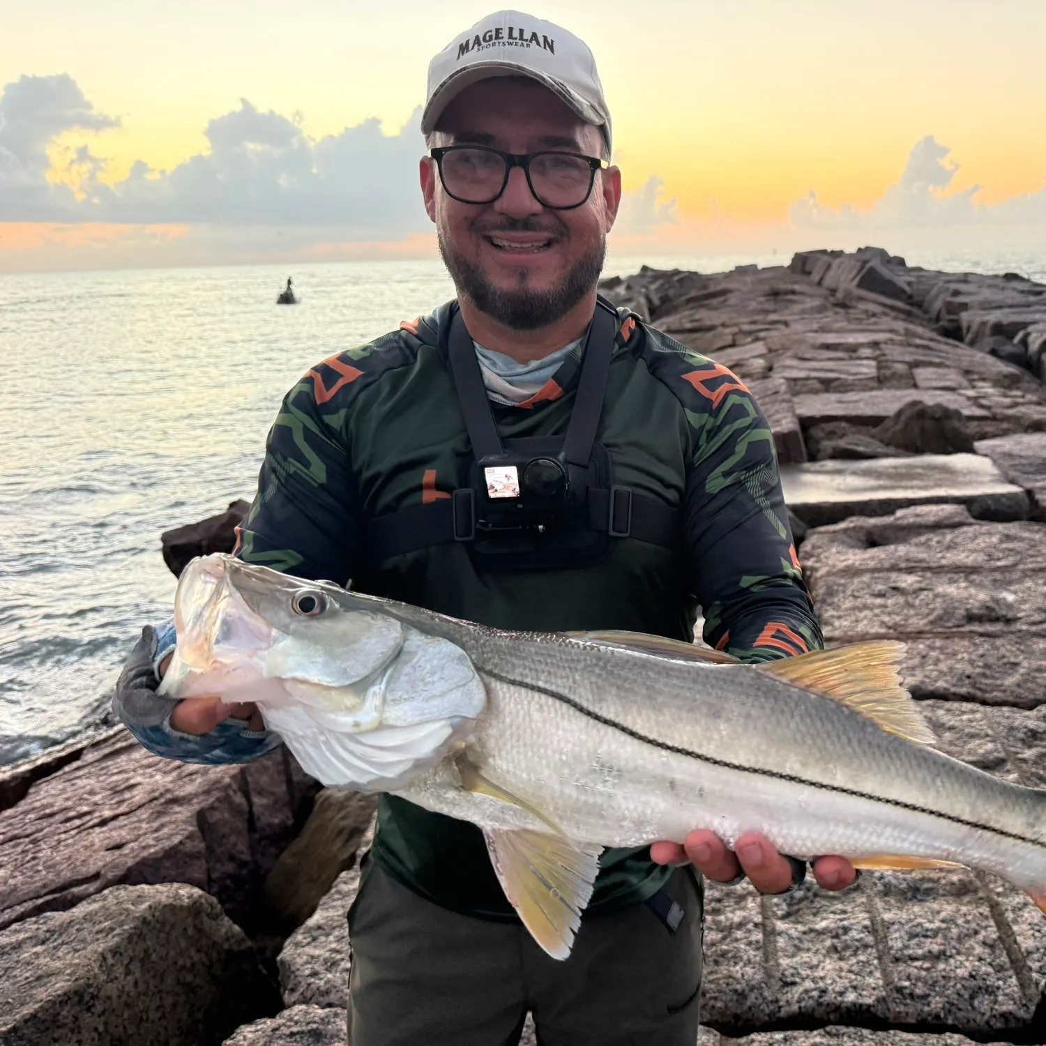 The most recent Common snook catches on Fishbrain