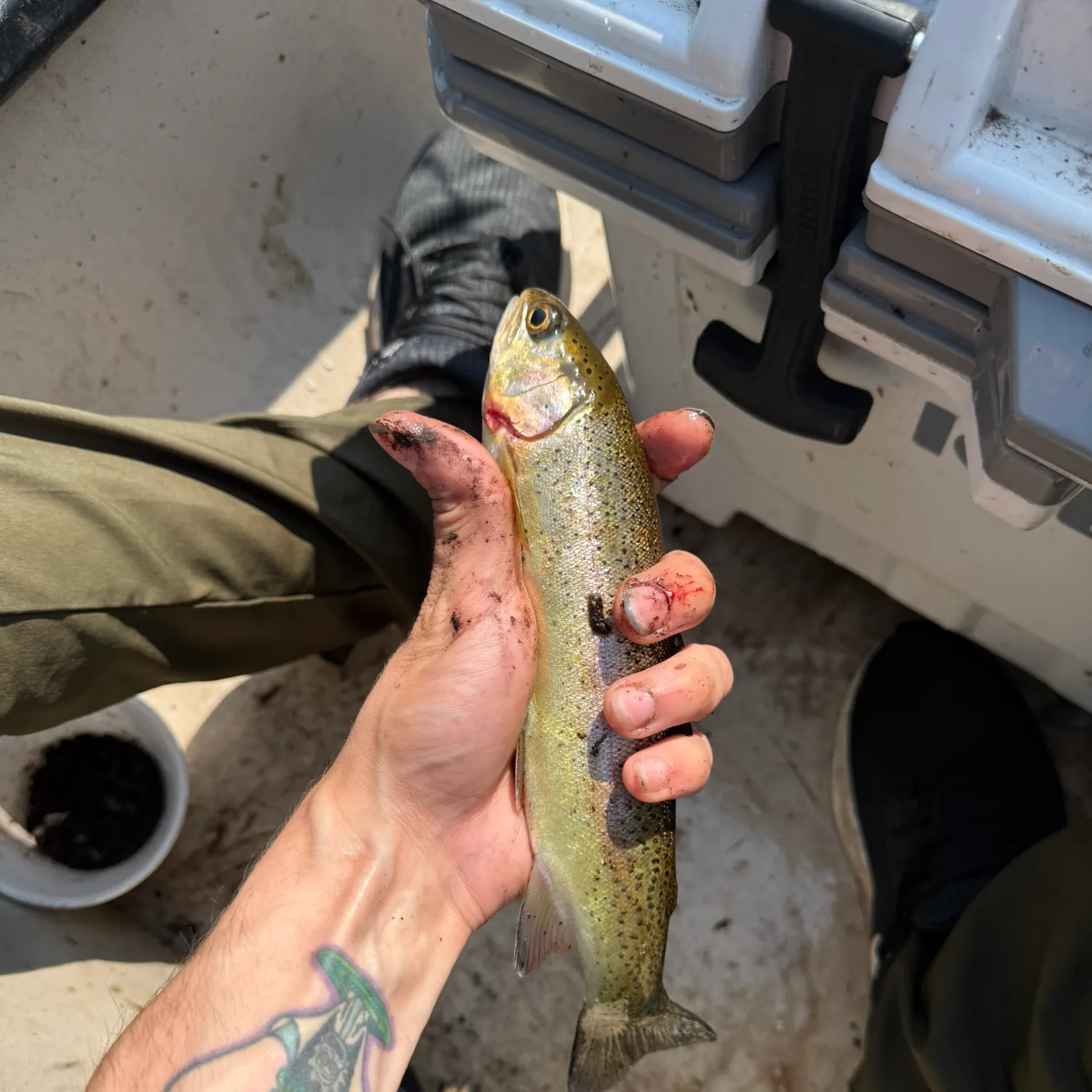 catch