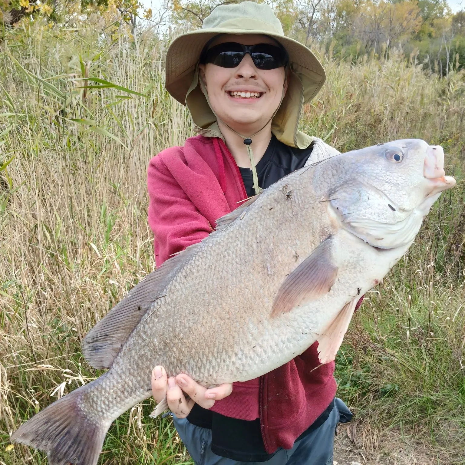 Freshwater drum caught on Fishbrain