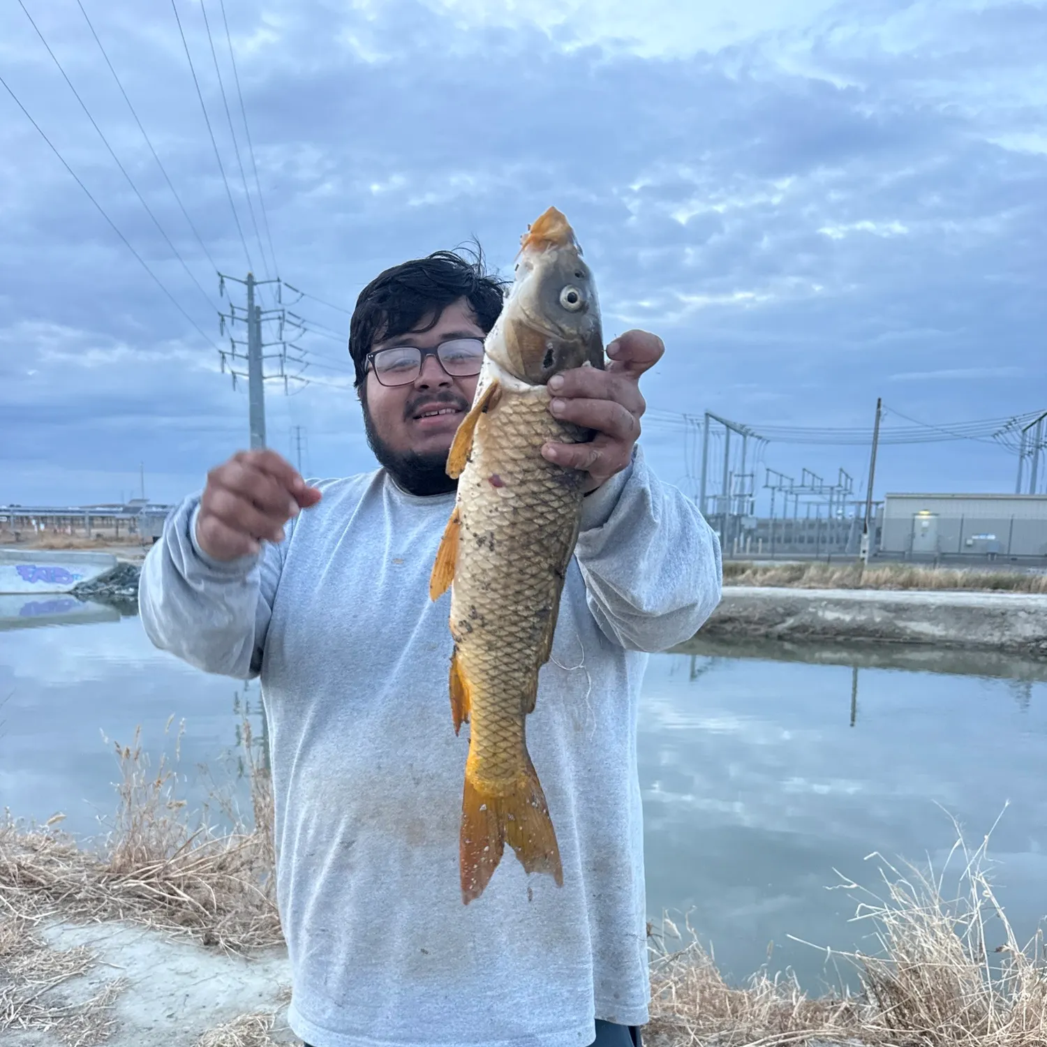 Fish caught on Fishbrain