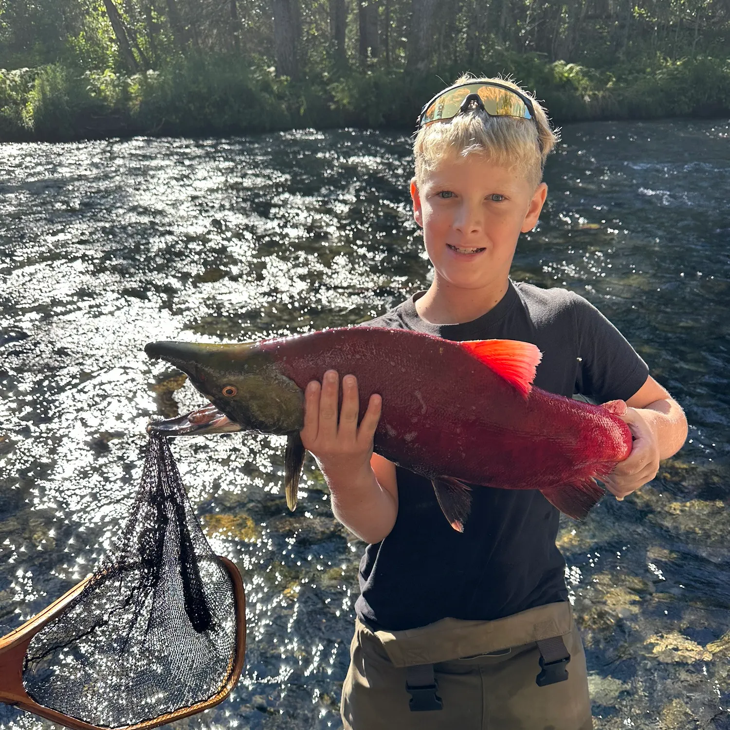 Sockeye salmon caught on Fishbrain