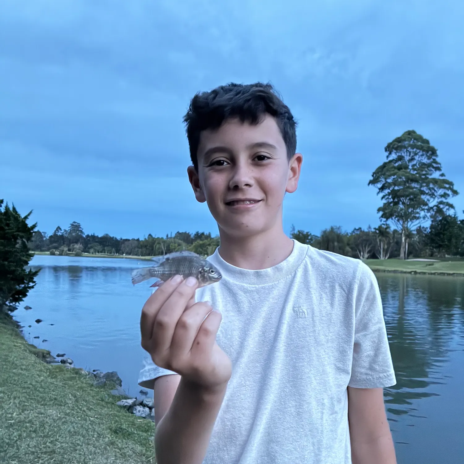 Nile tilapia caught on Fishbrain