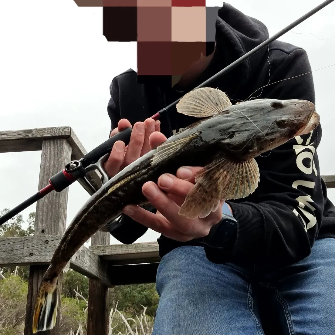 The most recent Bartail flathead catches on Fishbrain