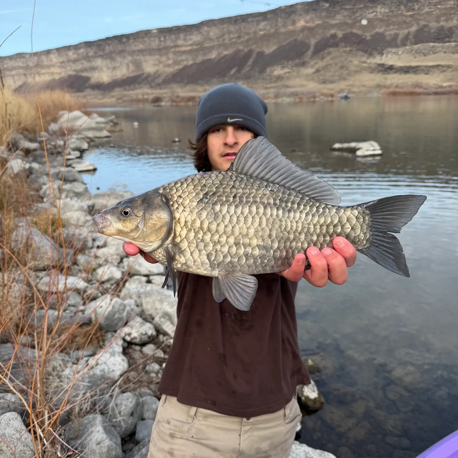 The most recent Prussian carp catches on Fishbrain