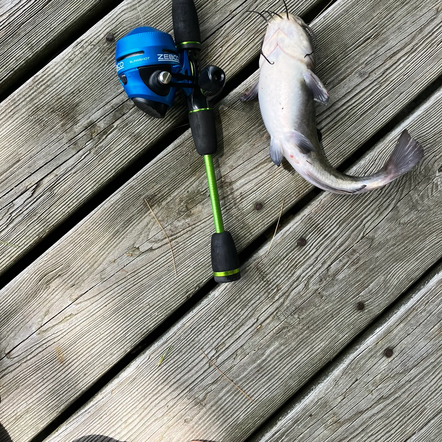 catch