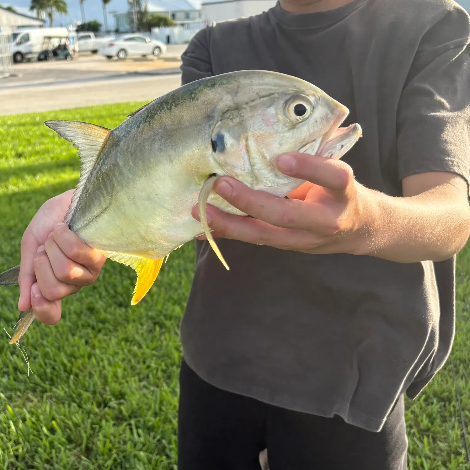Crevalle jack caught on Fishbrain