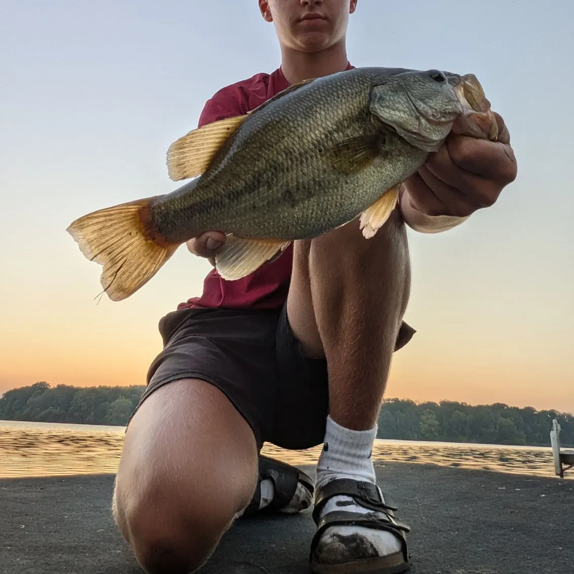 Largemouth bass caught on Fishbrain