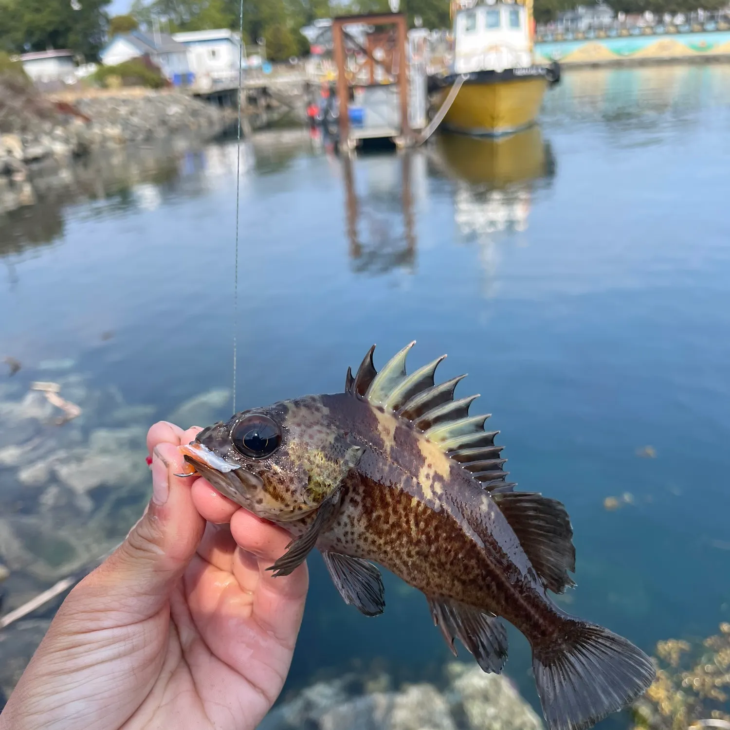 catch