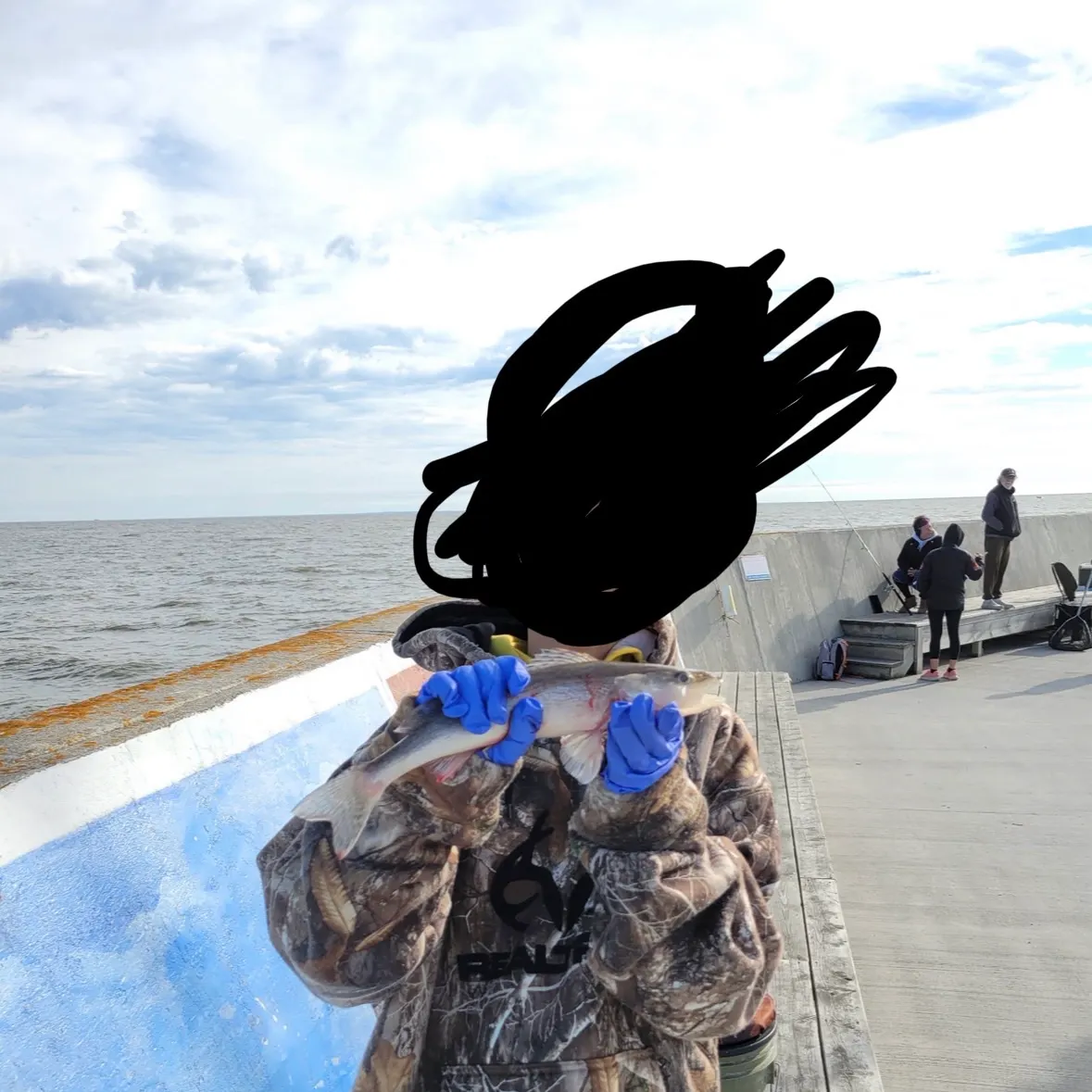 Sauger caught on Fishbrain