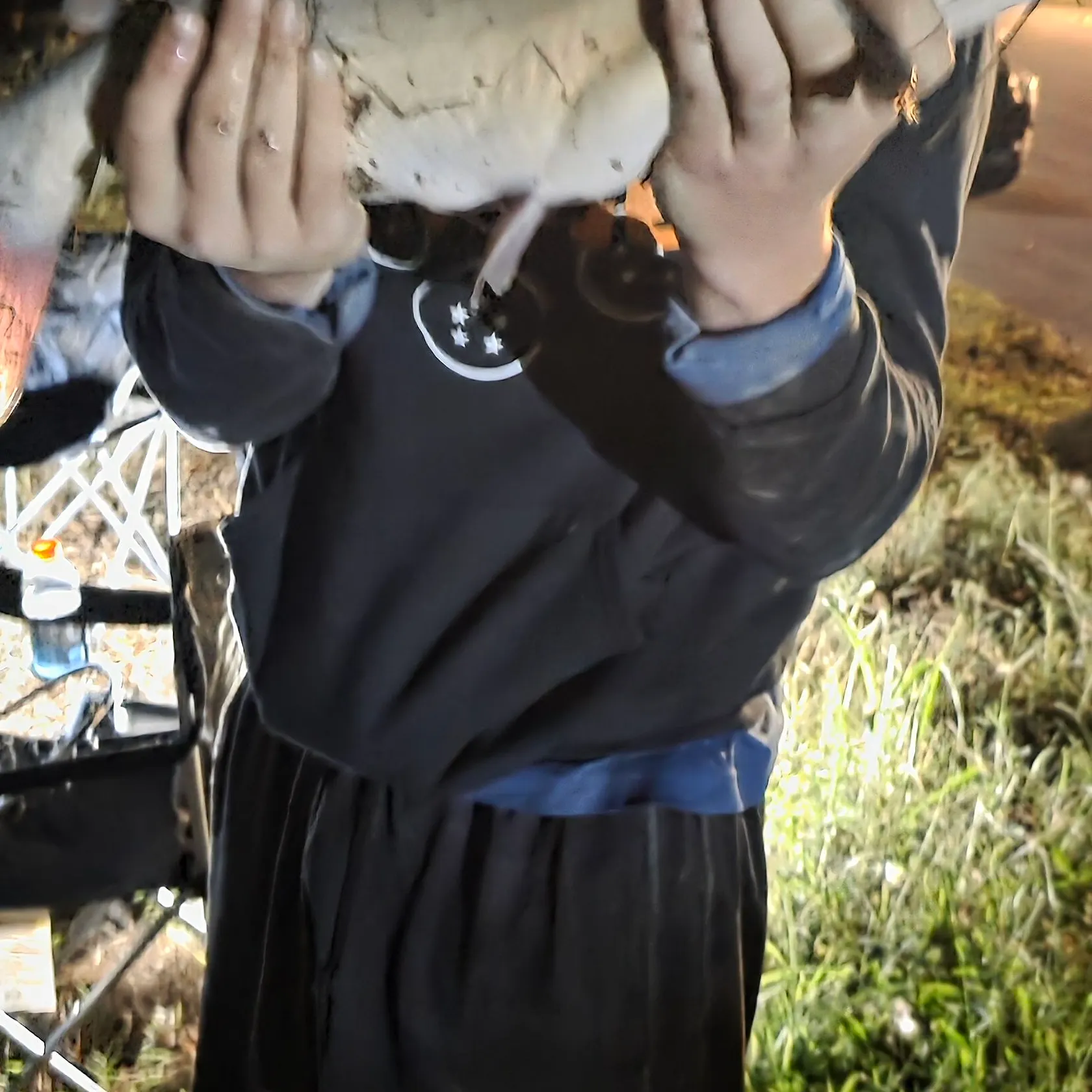 Channel catfish caught on Fishbrain