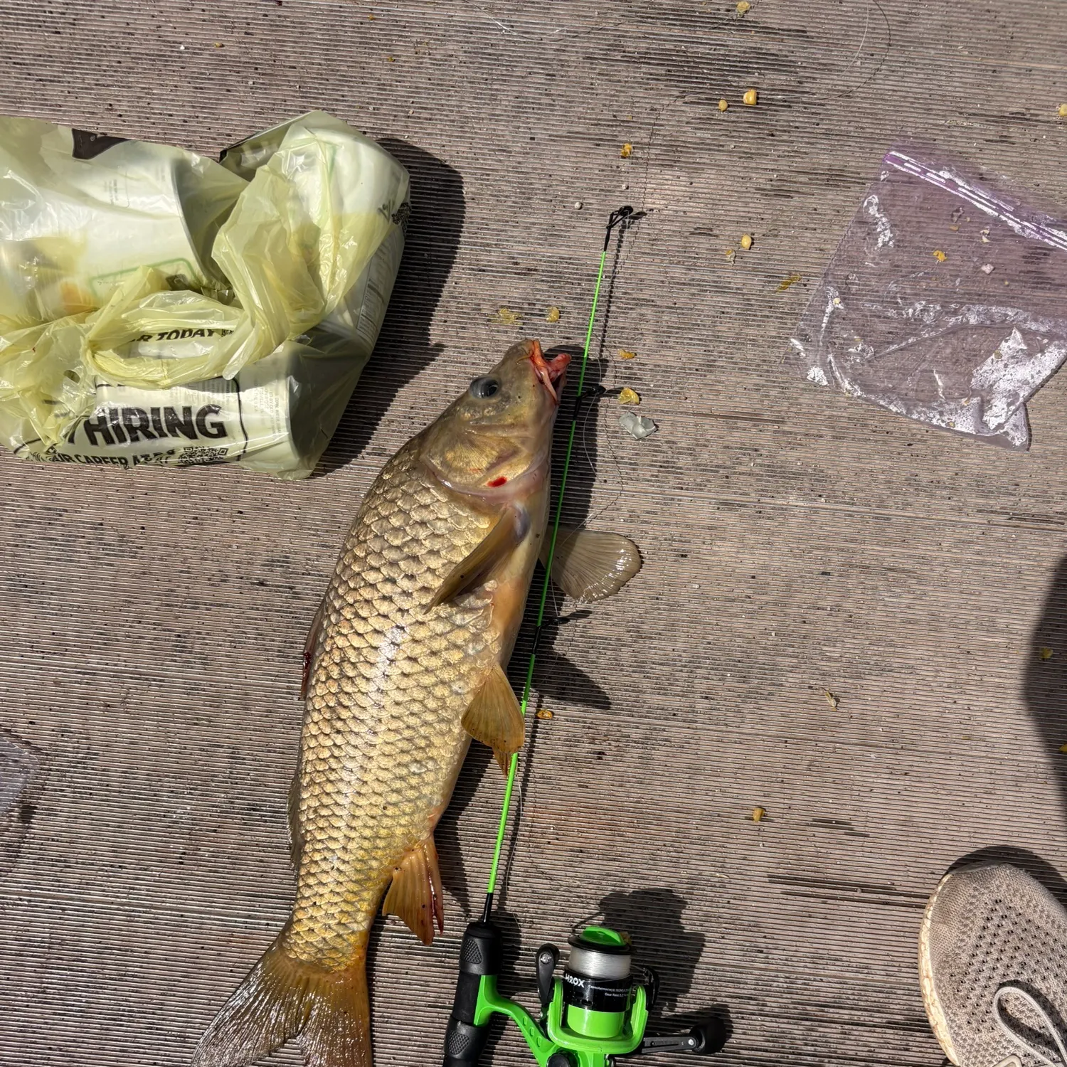 catch