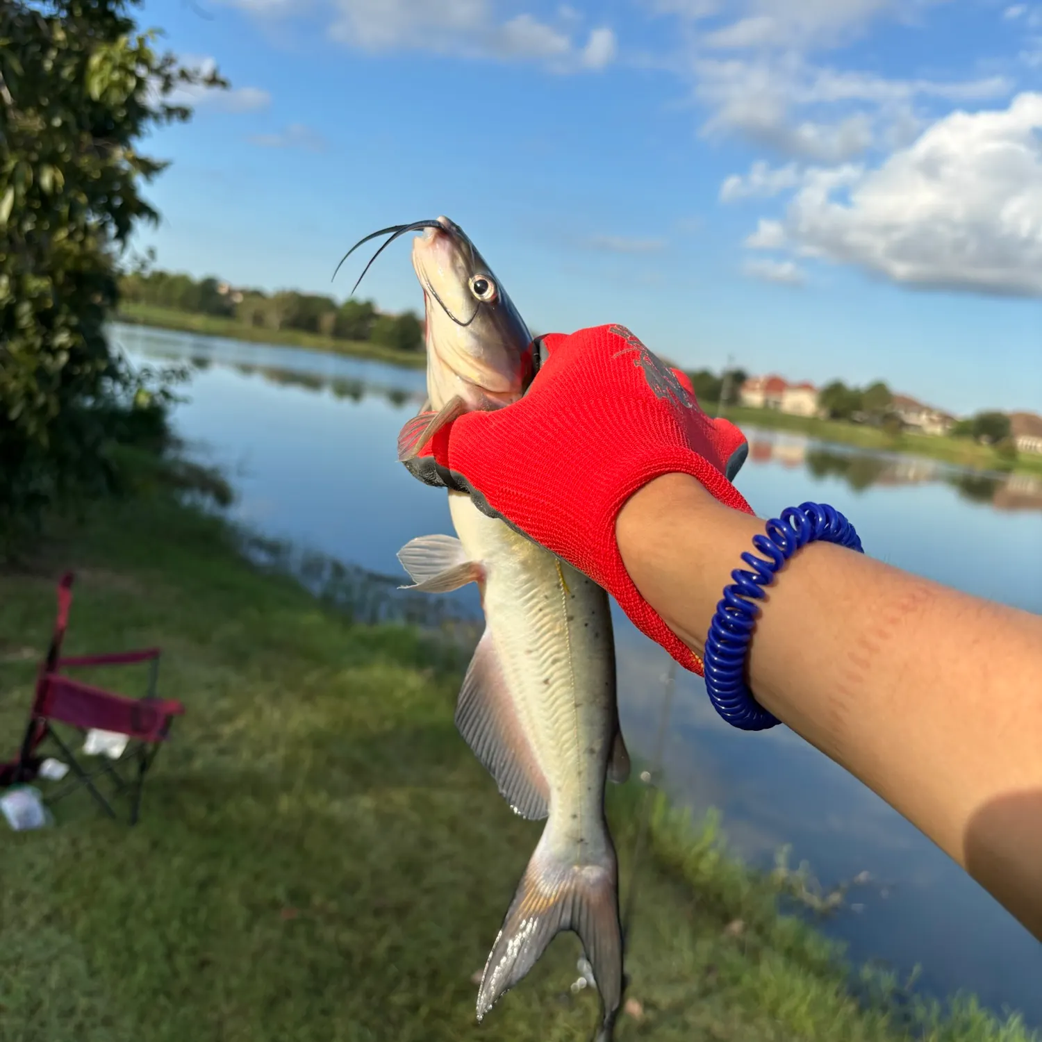 catch