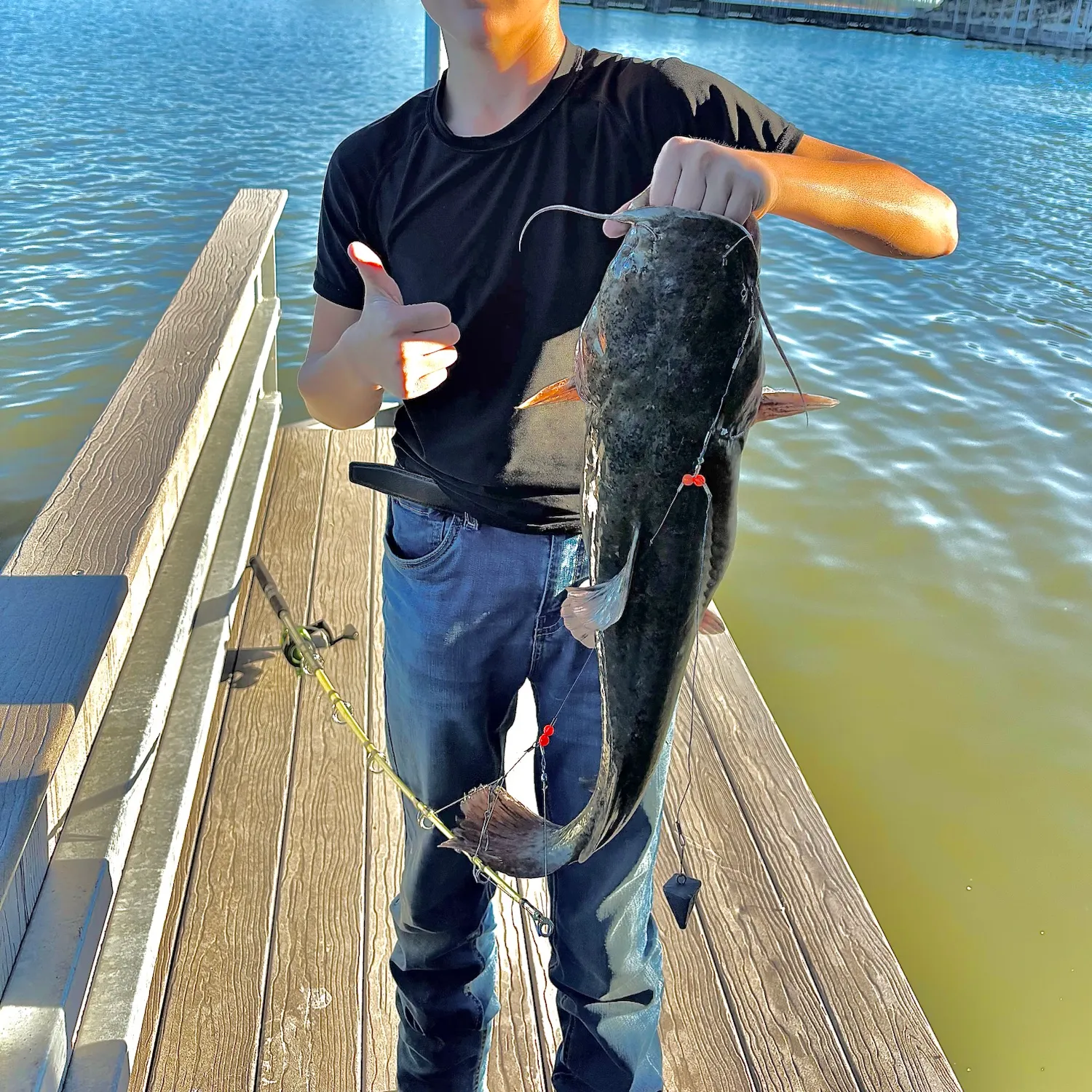 Flathead catfish caught on Fishbrain