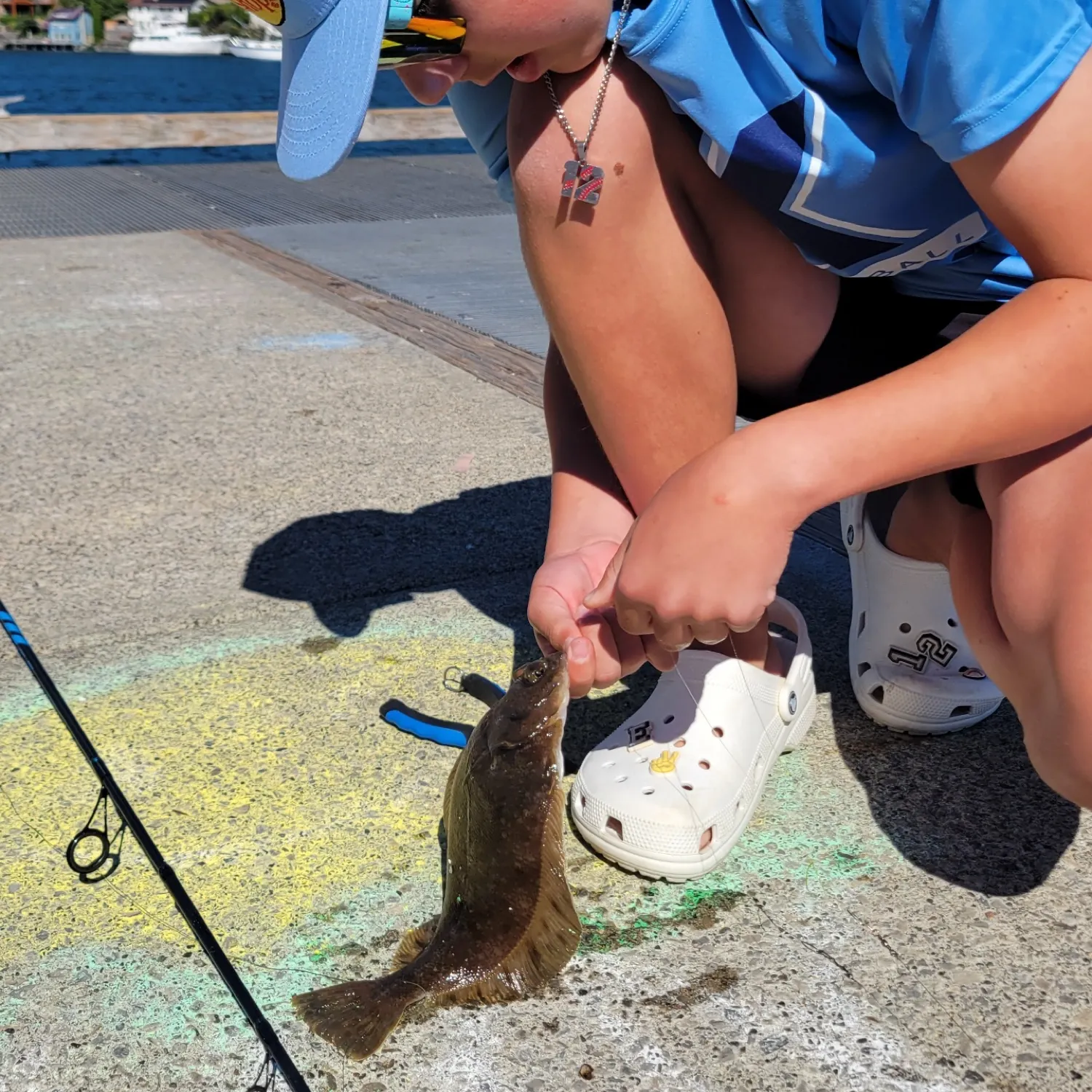 The most recent Starry flounder catches on Fishbrain