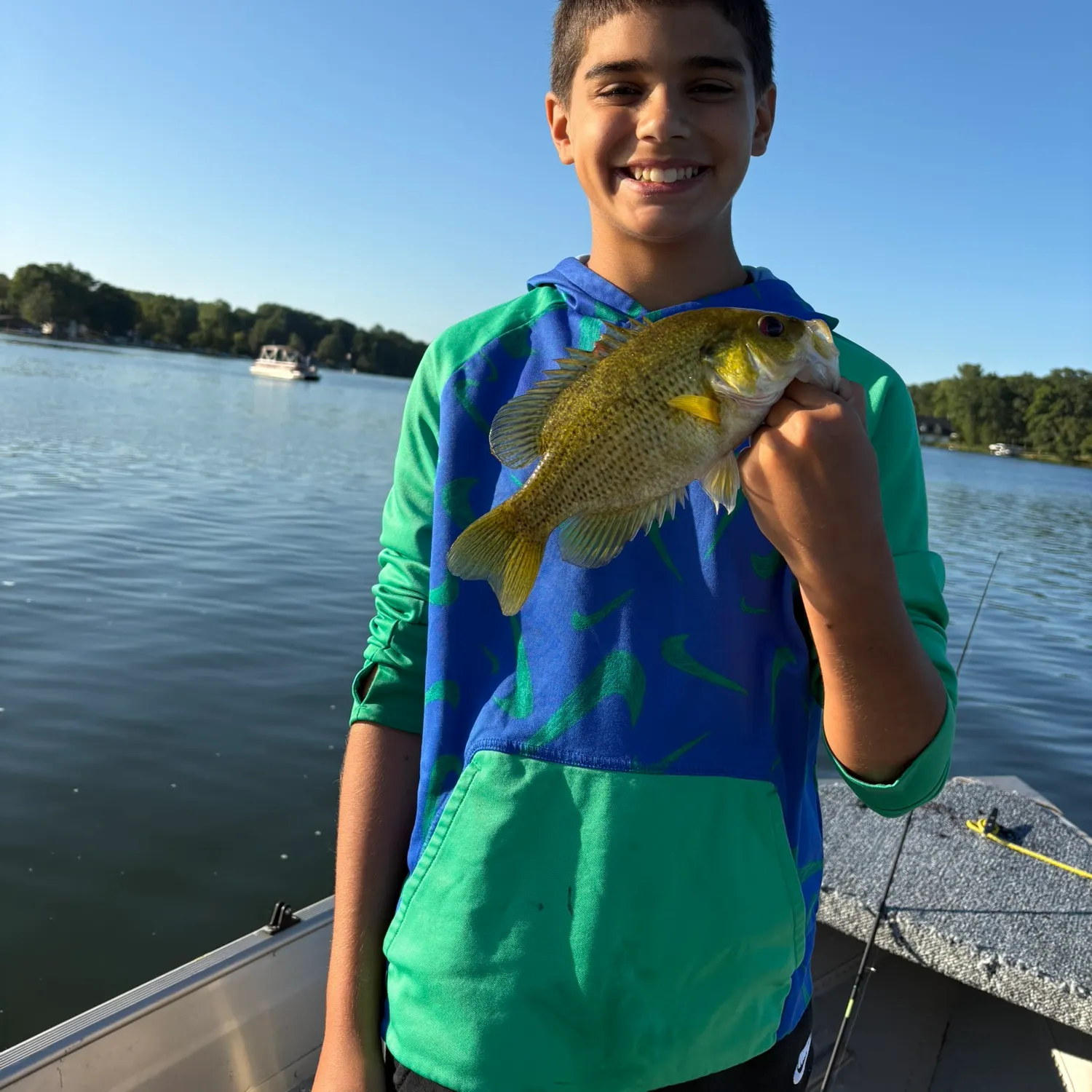 Rock bass caught on Fishbrain