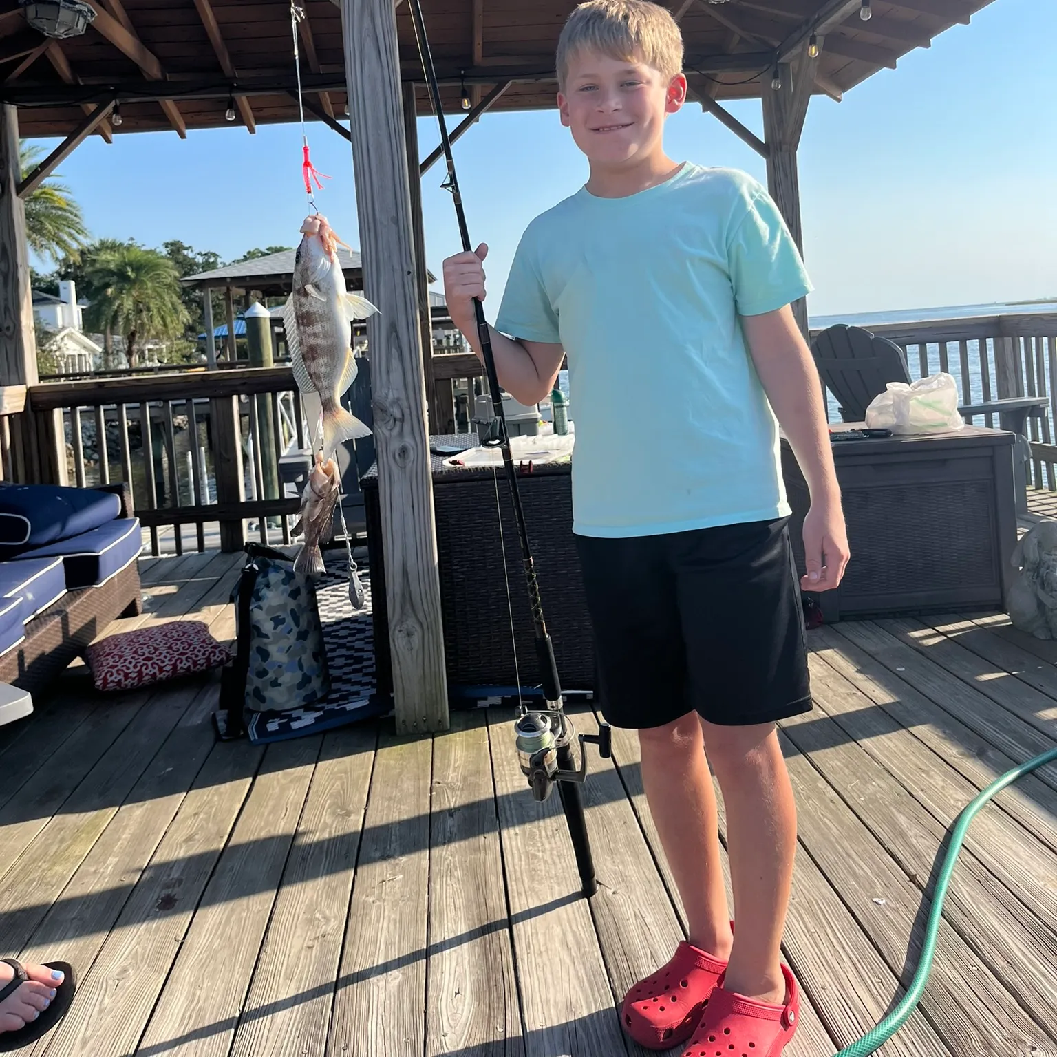 The most recent Rock sea bass catches on Fishbrain