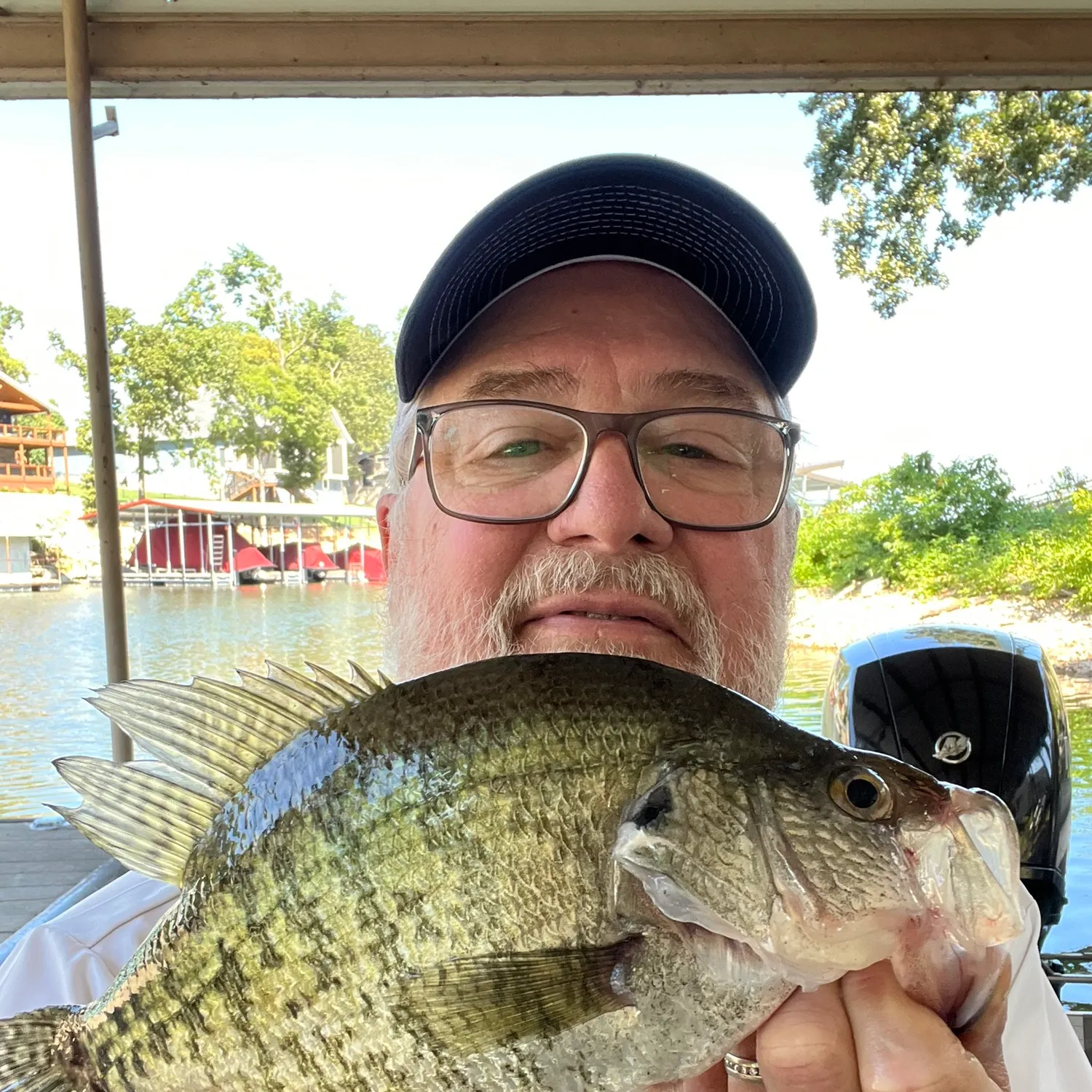 White crappie caught on Fishbrain