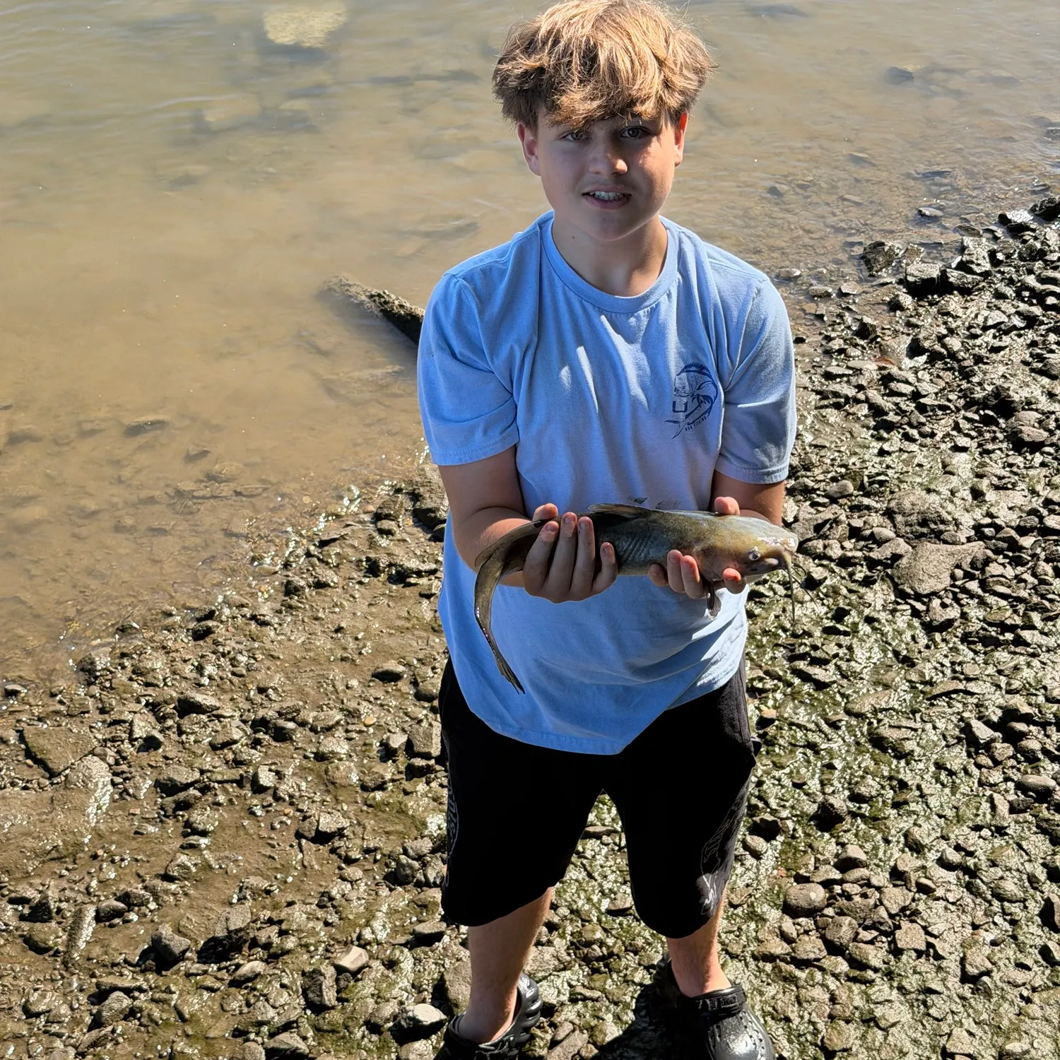 White bullhead caught on Fishbrain